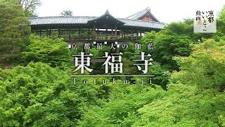 京都最大の伽藍 東福寺 Tofuku-ji / ドローン 空撮 / 京都いいとこ動画