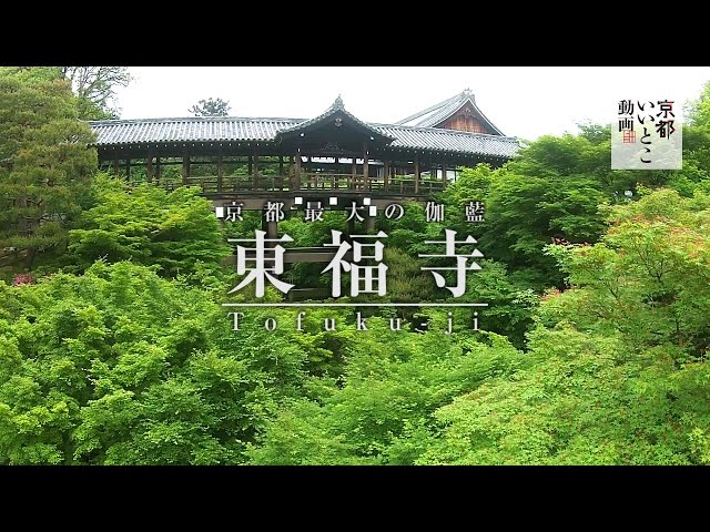 京都最大の伽藍 東福寺 Tofuku-ji / ドローン 空撮 / 京都いいとこ動画