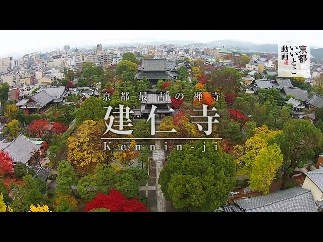 京都最古の禅寺 建仁寺 Kennin-ji / ドローン 空撮 紅葉 / 京都いいとこ動画